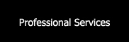 Professional Services