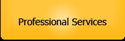 Professional Services